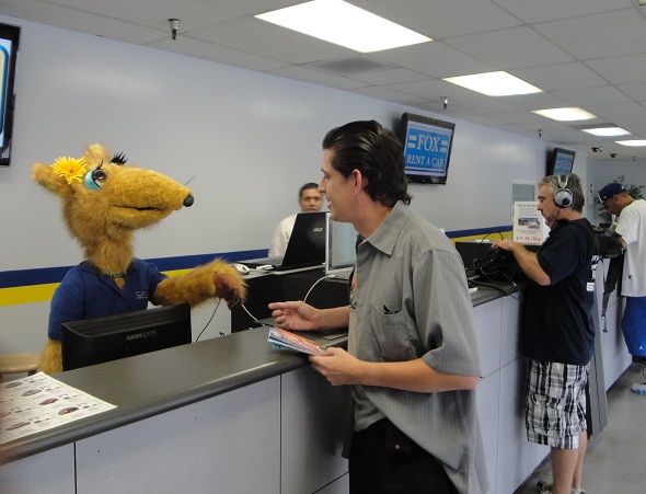 At the counter with Daisy Fox